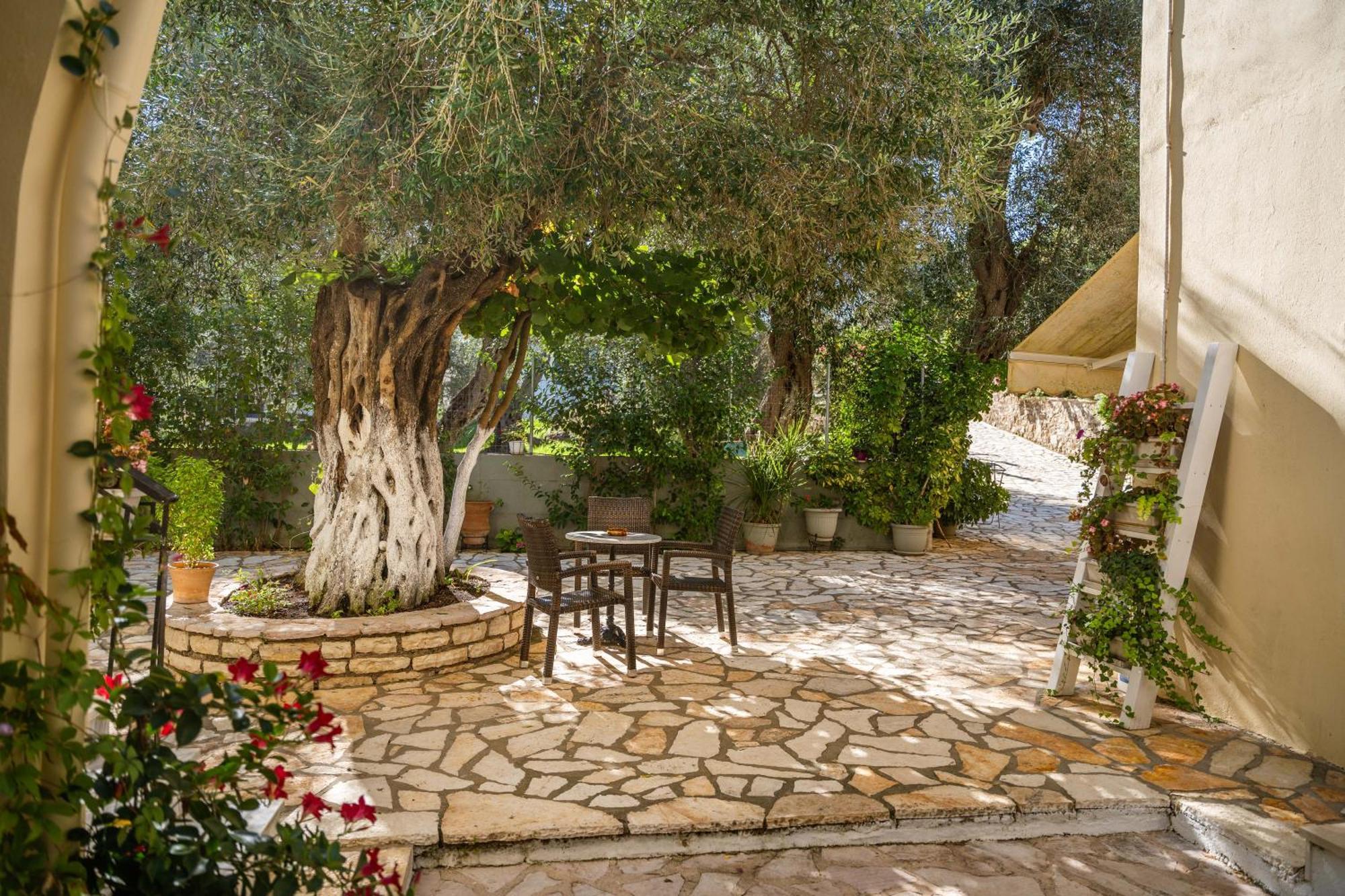 Angela Studios Sivota  Luaran gambar